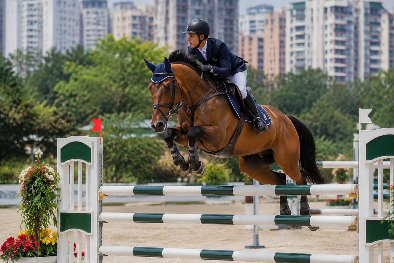 騎手與馬匹跨越障礙欄